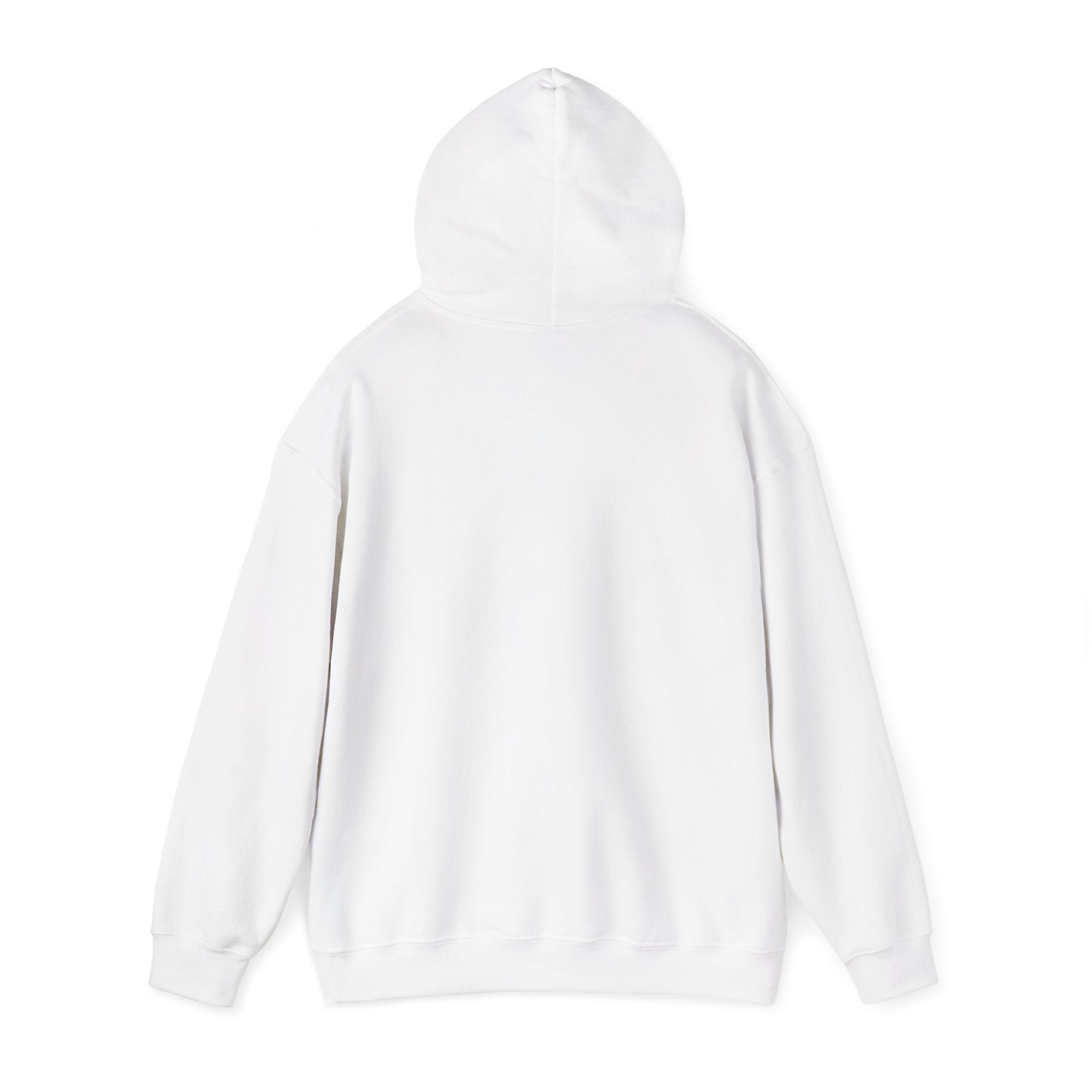 Straight Outta Europe Men's Hoodie Pullover White EUWEAR